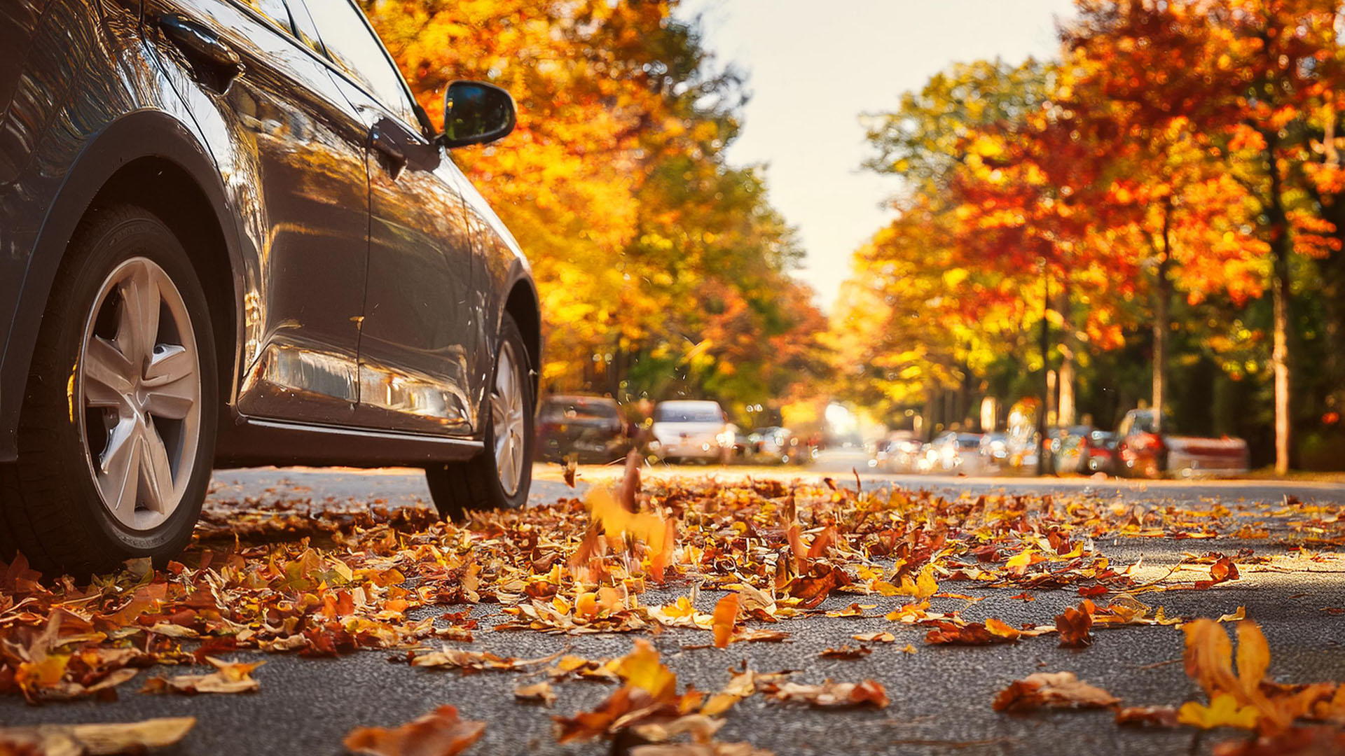 Auto detailing during fall in NJ